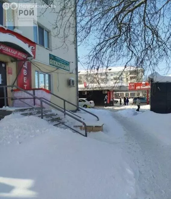 Помещение свободного назначения (30.3 м) - Фото 2