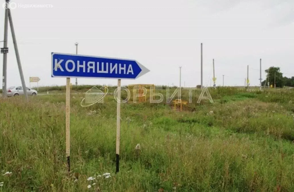 Участок в Тюменский муниципальный округ, деревня Коняшина (170 м) - Фото 1
