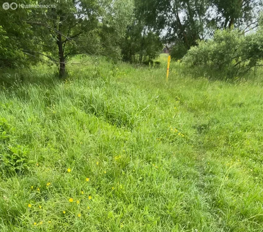 Участок в посёлок городского типа Большое Полпино, улица Челюскинцев, ... - Фото 1