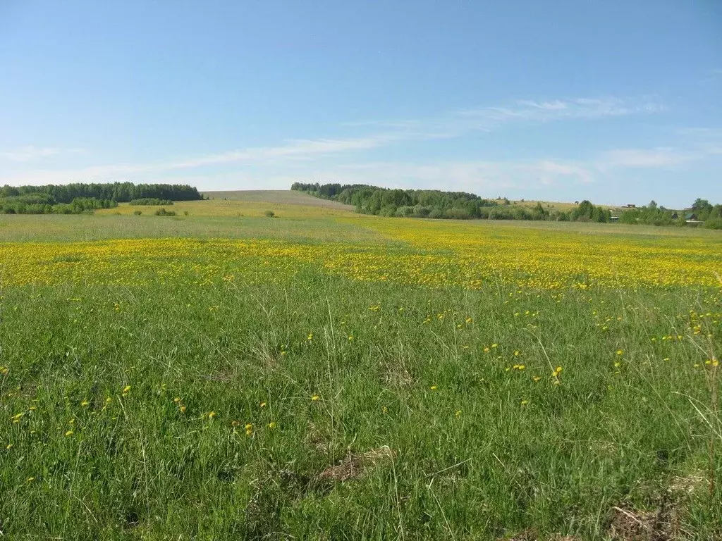 Участок в Пермский край, Ильинский городской округ, д. Опутята ул. ... - Фото 0