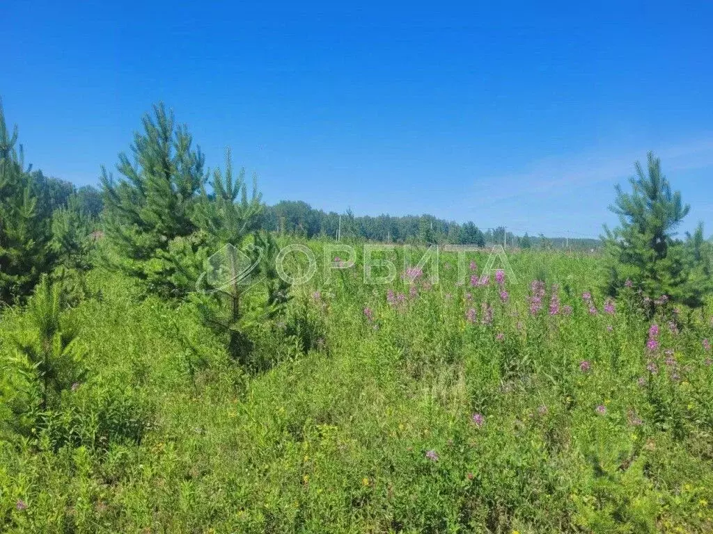 Участок в Тюменская область, Тюменский район, с. Кулига, Кулига-2 мкр  ... - Фото 0
