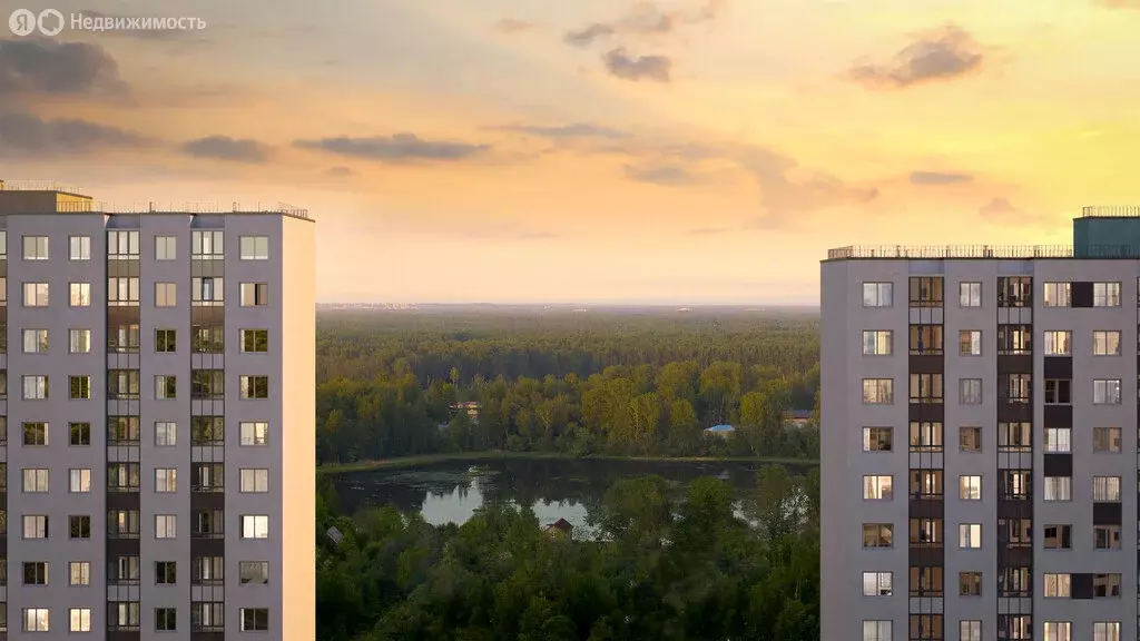 1-комнатная квартира: Санкт-Петербург, Муринская дорога, 10к1 (29.3 м) - Фото 1