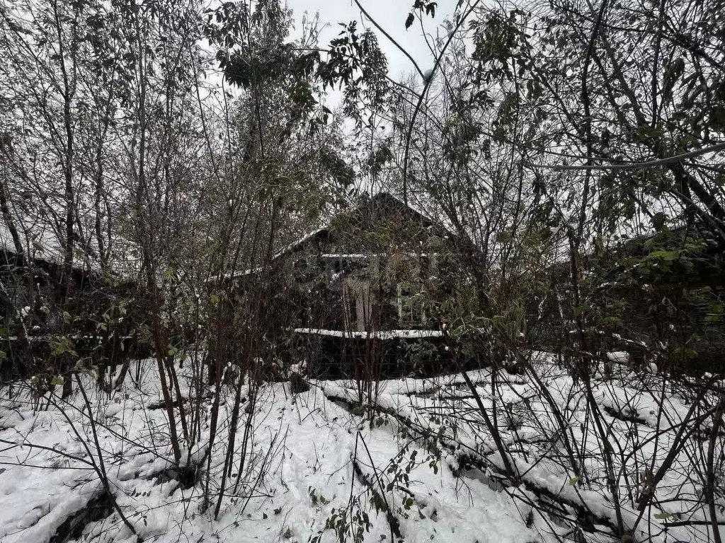 Дом в Новосибирская область, Новосибирск Затон мкр, ул. Заобская, 49 ... - Фото 1