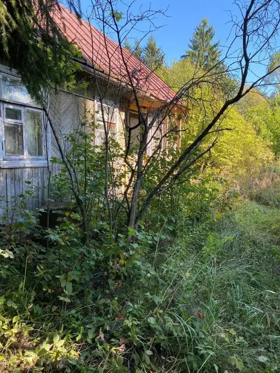 Участок в Московская область, Сергиево-Посадский городской округ, ... - Фото 0