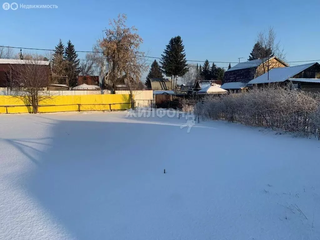 Участок в Колыванский район, СНТ Домостроитель (5.5 м) - Фото 1