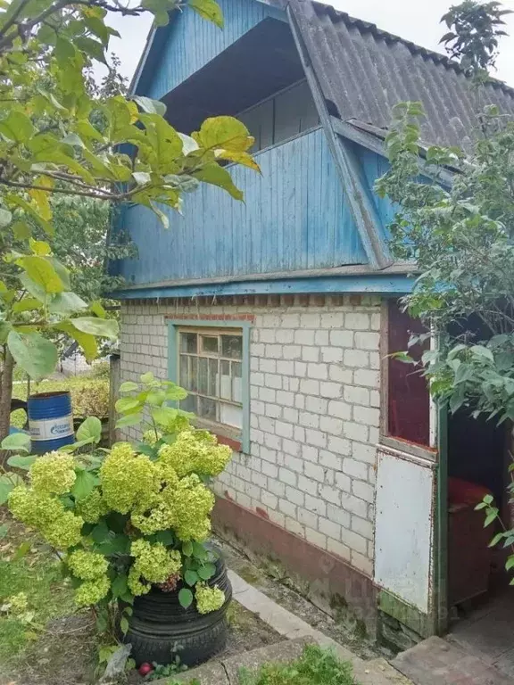 Дом в Брянская область, Фокино Мичуринец-3 садоводческое товарищество, ... - Фото 0