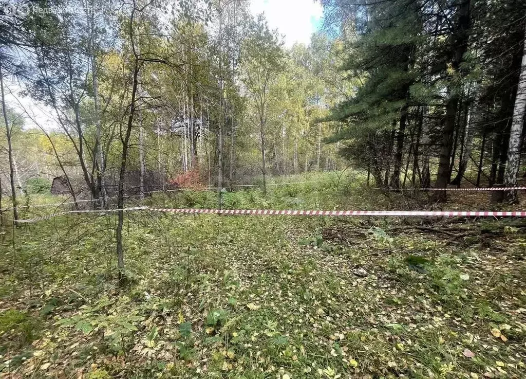 Участок в Красноярск, садоводческое некоммерческое товарищество ... - Фото 1