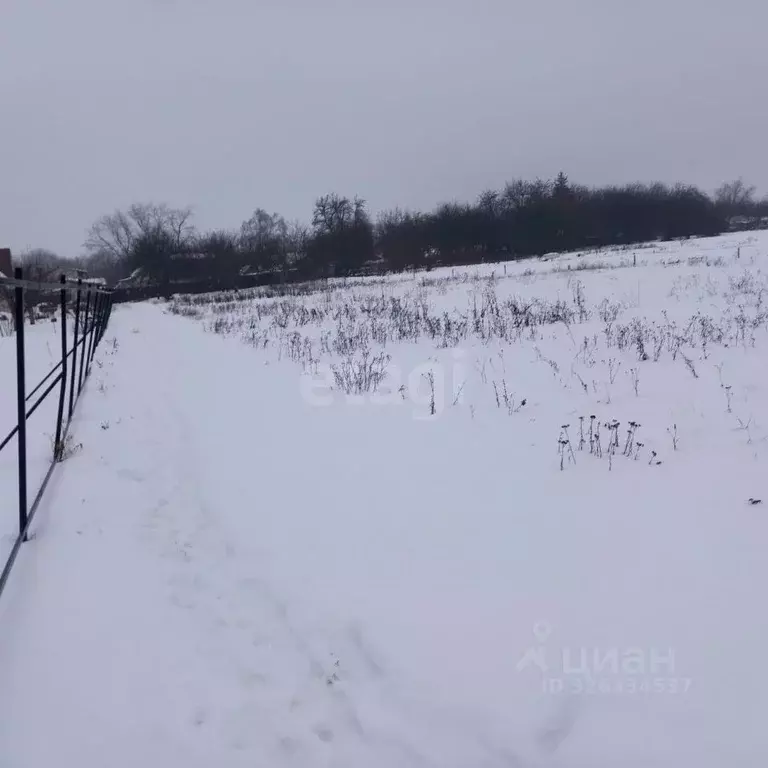 Участок в Белгородская область, Яковлевский муниципальный округ, ... - Фото 2