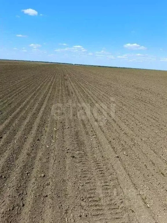 Участок в Орловская область, Орловский муниципальный округ, с. Большая ... - Фото 1