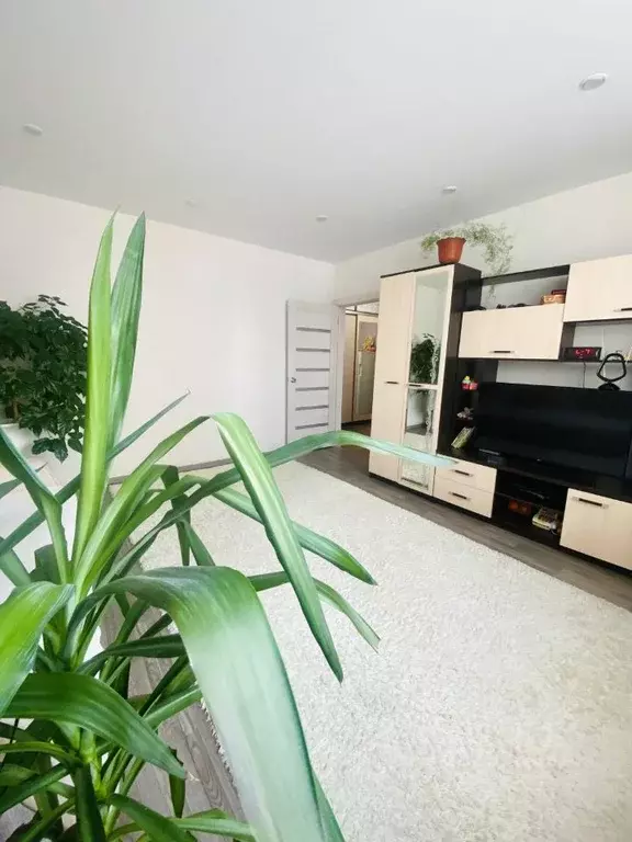 1-к кв. Пермский край, Пермь Цимлянская ул., 23 (43.0 м) - Фото 2