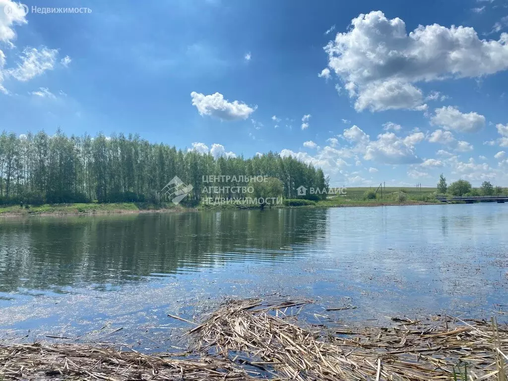 Участок в Рязанская область, Пронский муниципальный округ, ... - Фото 1