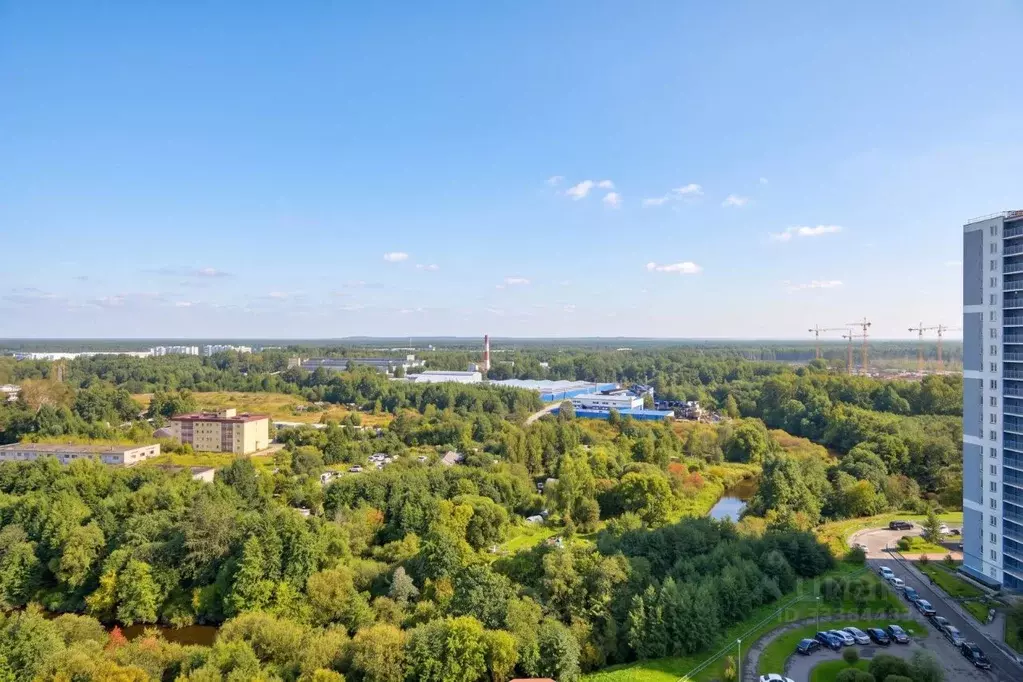 1-к кв. Санкт-Петербург аллея Евгения Шварца, 8к1 (38.0 м) - Фото 2