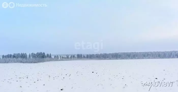 Участок в Балашовский район, Лесновское муниципальное образование, ... - Фото 0