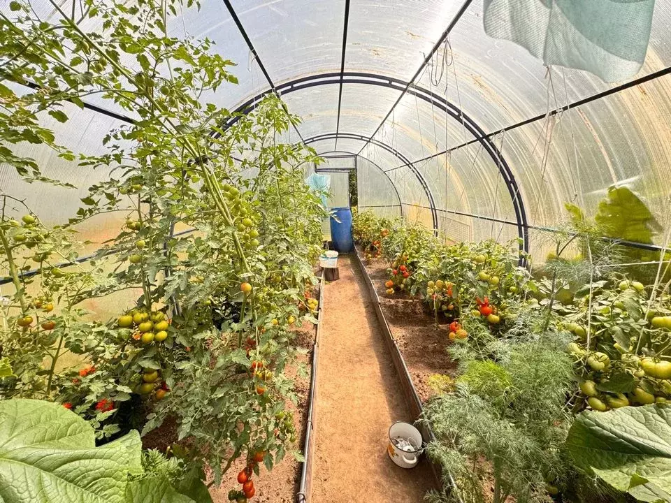 Дача 45 м на участке 6 сот. - Фото 1