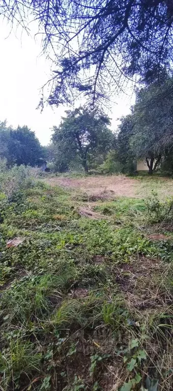 Участок в Московская область, Коломна городской округ, д. Губастово  ... - Фото 1