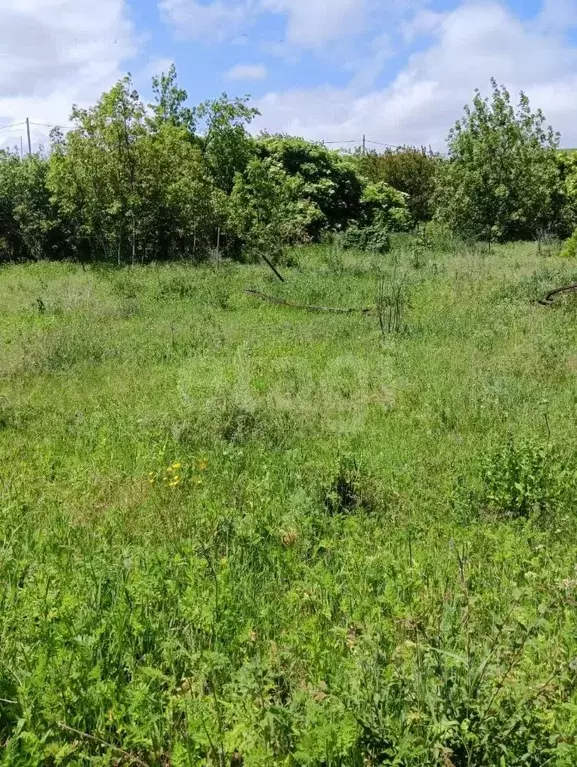 Участок в Ставропольский край, Предгорный муниципальный округ, пос. ... - Фото 1