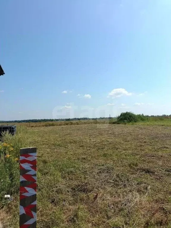 Участок в Костромская область, Костромской район, Шунгенское с/пос, д. ... - Фото 2