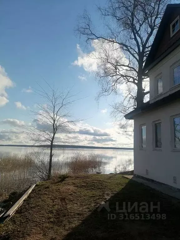 Дом в Тверская область, Осташковский муниципальный округ, д. Пески 9 ... - Фото 0