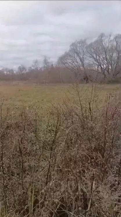 Участок в Московская область, Орехово-Зуевский городской округ, д. ... - Фото 0