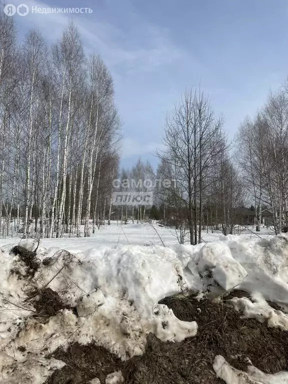Участок в Завьяловский район, деревня Крестовоздвиженское (8 м) - Фото 2