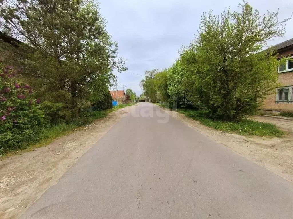 Участок в Калининград, СНТ Пищевик, 4-я Нагорная улица (5.4 м) - Фото 1