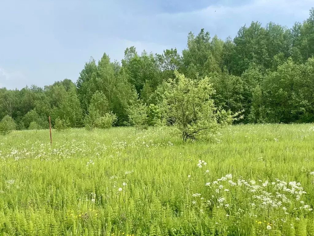 Участок в Владимирская область, Александровский район, д. Шаблыкино  ... - Фото 0