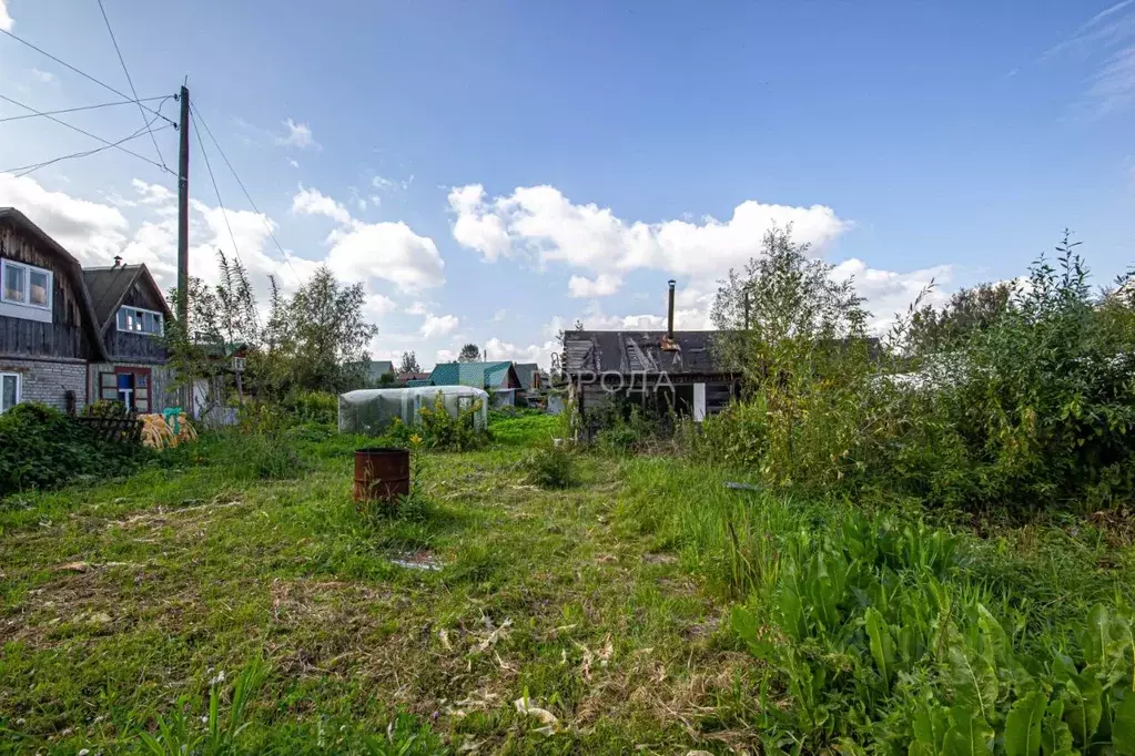 Участок в Новосибирская область, Новосибирск Березка садовое ... - Фото 1