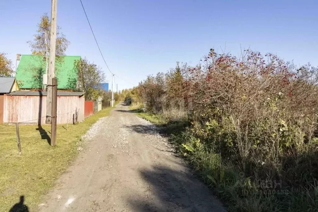 Участок в Тюменская область, Ялуторовский муниципальный округ, Поле ... - Фото 1