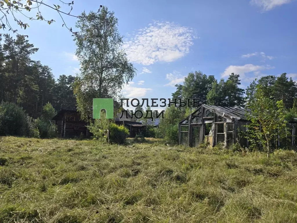 Участок в Курганская область, Кетовский муниципальный округ, с. ... - Фото 1