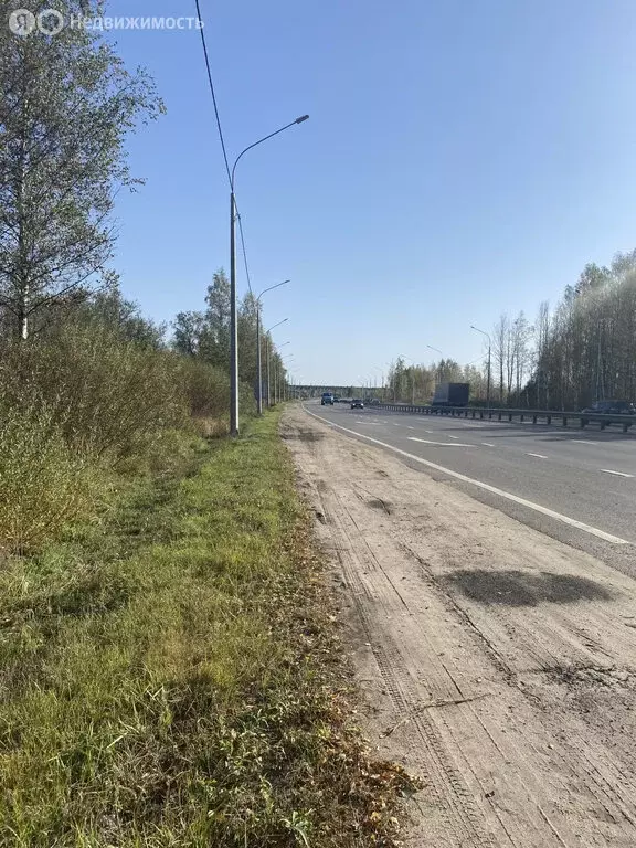 Участок в Ярославский муниципальный округ, СОНТ Надежда (17 м) - Фото 1