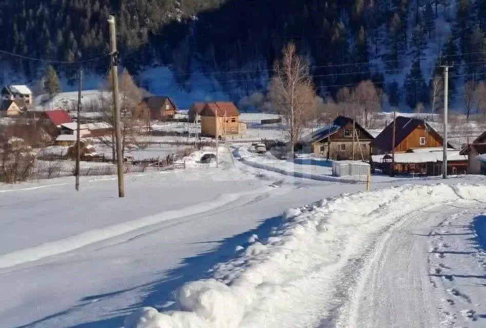 Участок в Алтай, Майминский район, пос. Дубровка  (11.5 сот.) - Фото 2