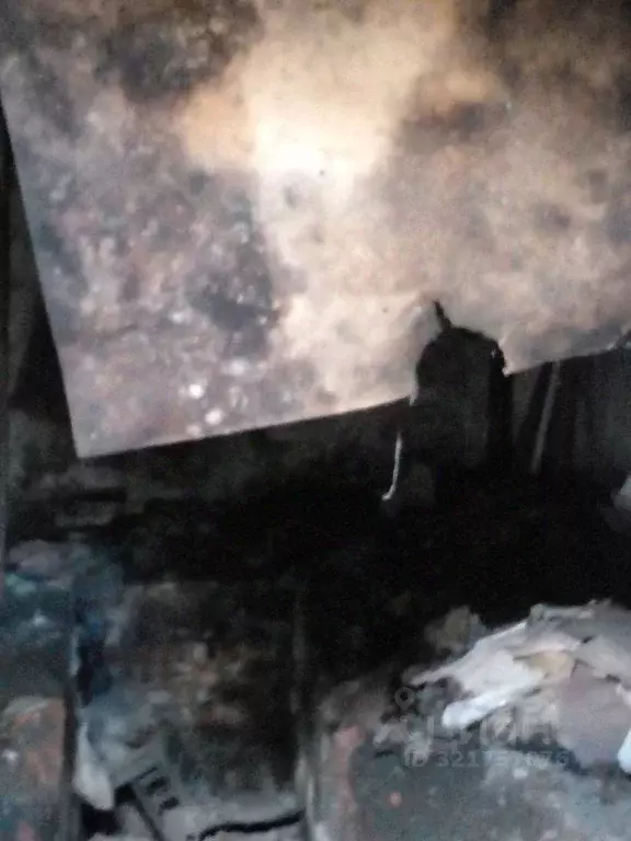 Помещение свободного назначения в Чувашия, Козловка ул. Свободной ... - Фото 2