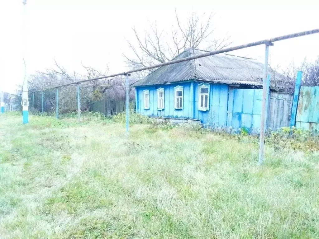 Дом в Белгородская область, Новооскольский муниципальный округ, с. ... - Фото 1