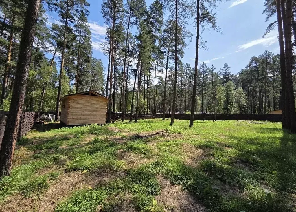 Дом в Алтай, Чемальский район, пос. Усть-Сема ул. Чуйская (35 м) - Фото 1