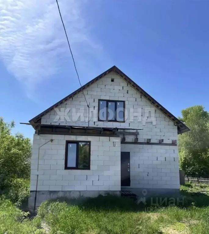 Коттедж в Алтайский край, Барнаул городской округ, с. Власиха ул. ... - Фото 1