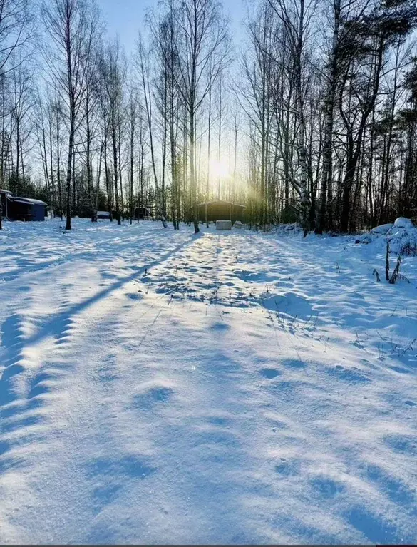 Участок в Ленинградская область, Приозерский район, Красноозерное ... - Фото 2