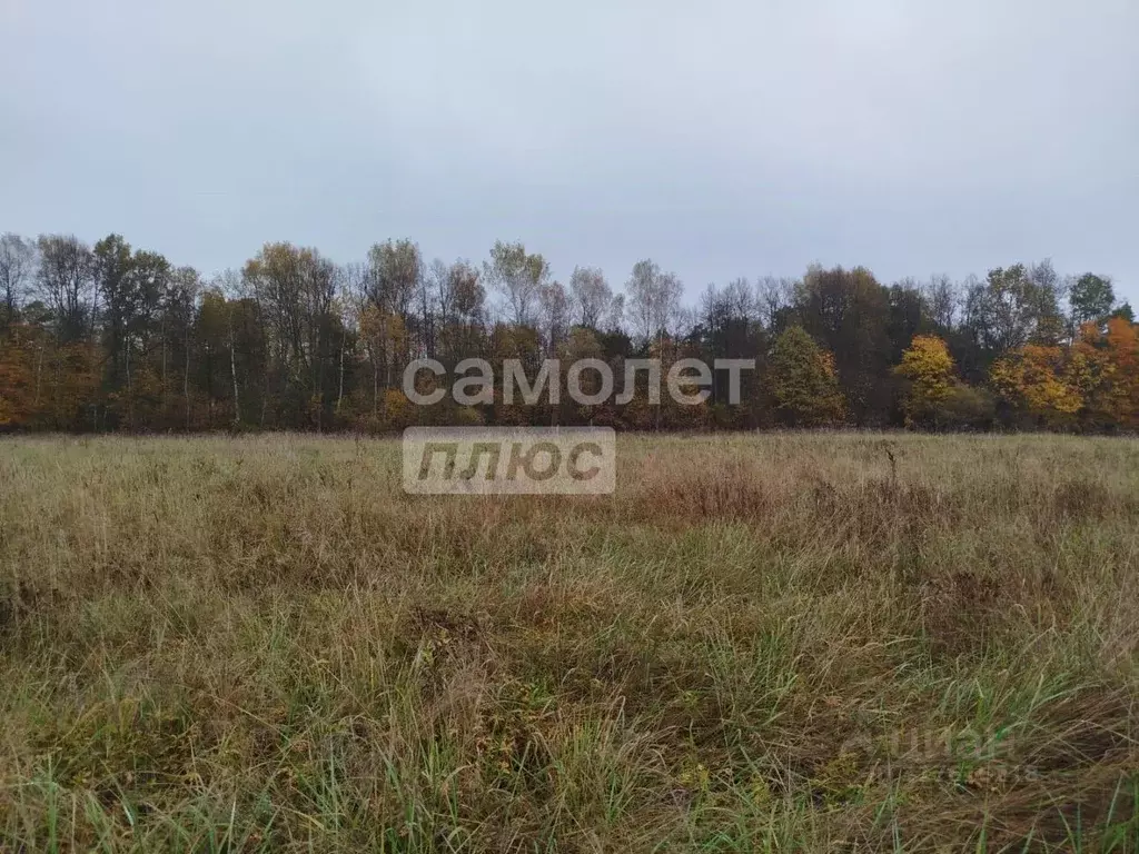 Участок в Московская область, Серпухов городской округ, д. ... - Фото 1