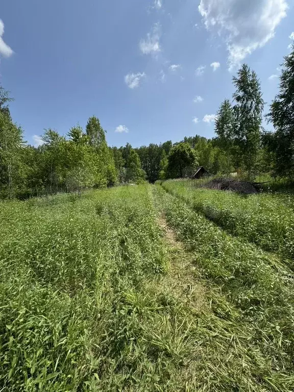 Участок 10 сот. (СНТ, ДНП) - Фото 0