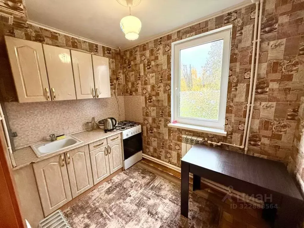 1-к кв. Новгородская область, Валдай ул. Энергетиков (29.9 м) - Фото 2