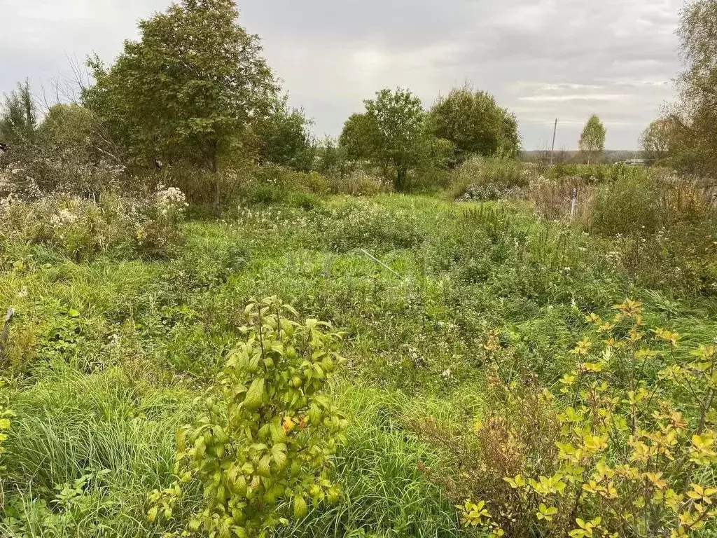 Участок в Костромская область, Костромской район, Самсоновское с/пос, ... - Фото 1