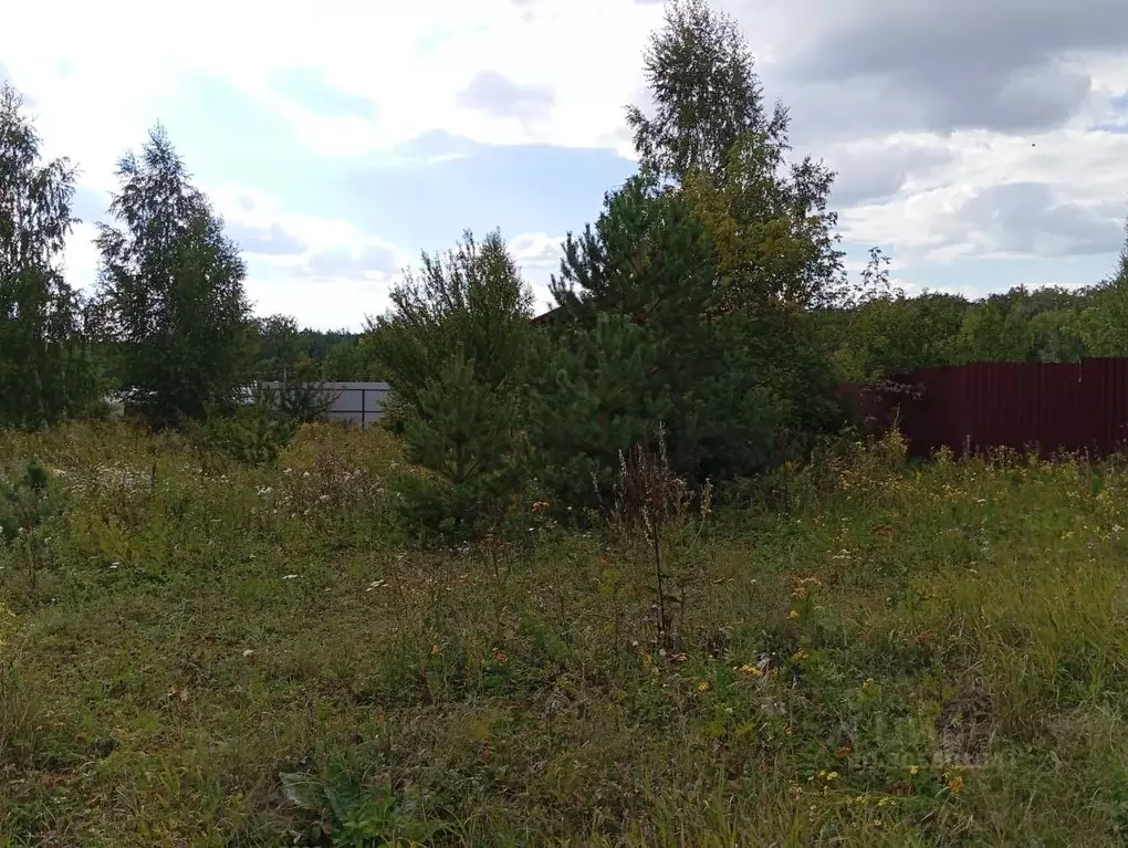 Участок в Воронежская область, Рамонский район, Яменское с/пос, Ветряк ... - Фото 2