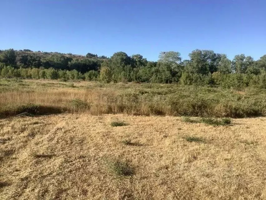 Участок в Севастополь ул. Речная (69.0 сот.) - Фото 1