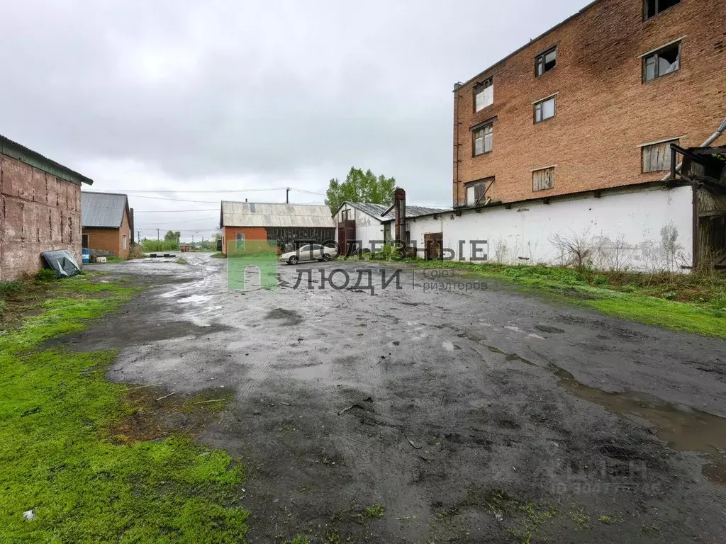 Производственное помещение в Алтайский край, Топчихинский район, с. ... - Фото 1