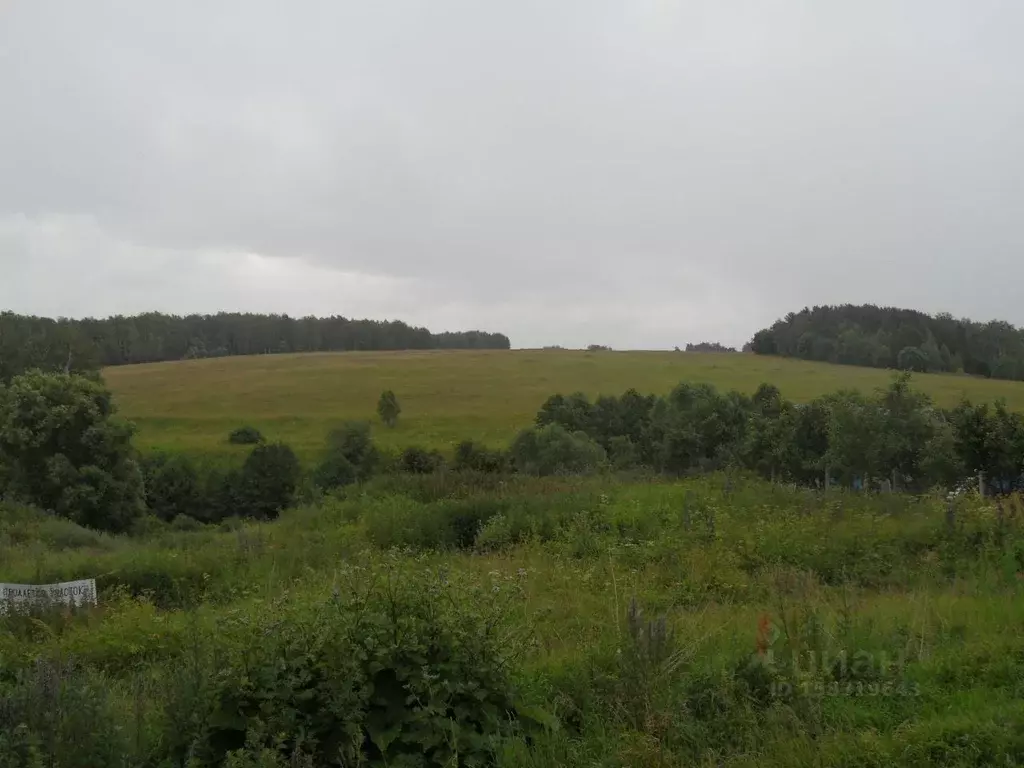 Участок в Тульская область, Алексин городской округ, д. Нижнее ... - Фото 2