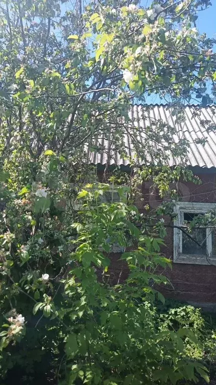 Дача 128 м на участке 6,5 сот. - Фото 0