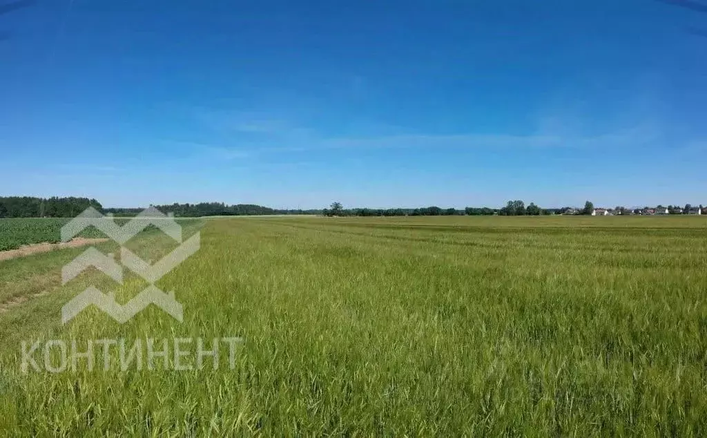 Участок в Крым, Сакский район, с. Ромашкино  (450.0 сот.) - Фото 0