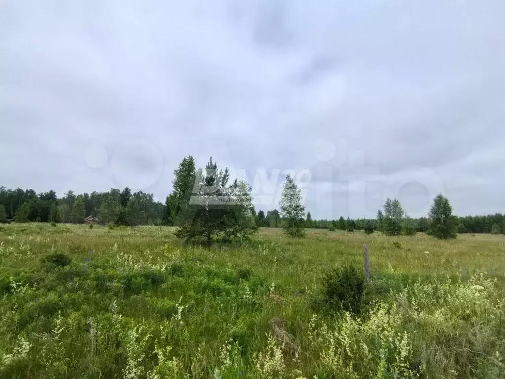 Участок 9,8 сот. (ИЖС) - Фото 0