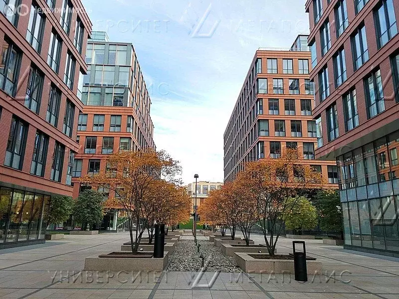 Офис (545 м) - Фото 2