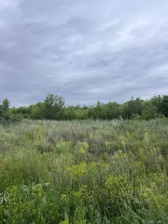 Участок в Самарская область, Ставропольский район, с. Подстепки ул. ... - Фото 1