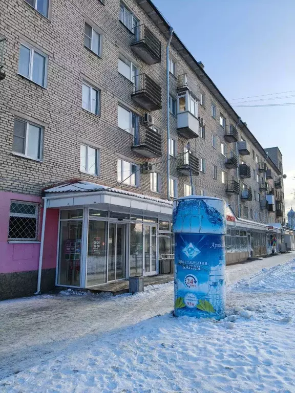 2-к кв. Псковская область, Псков ул. Леона Поземского, 61 (43.8 м) - Фото 1